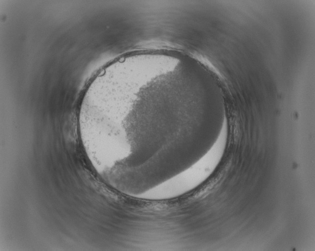 X0000064771358200603131423