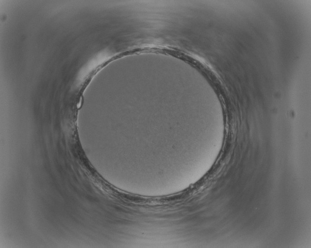 X0000064771359200603131423