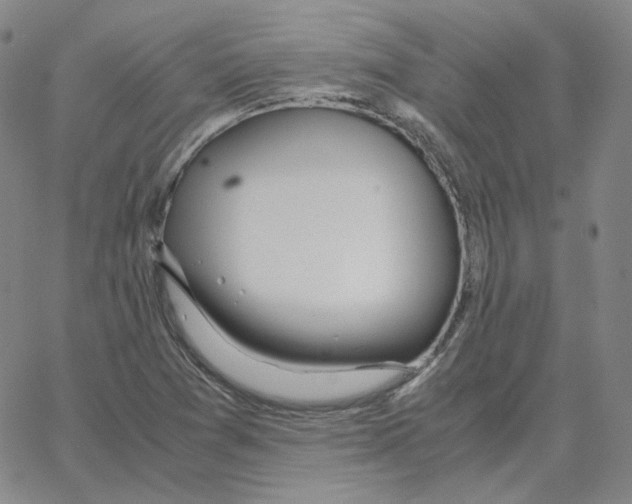 X0000064771361200603131423