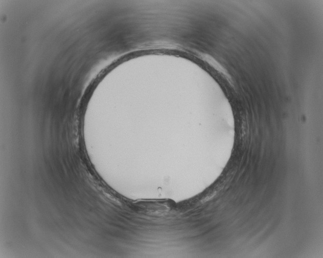 X0000064771364200603131423