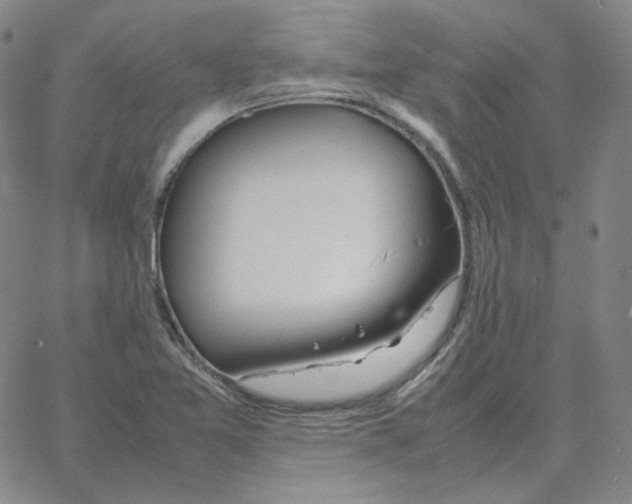 X0000064771365200603131423