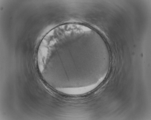 X0000064771367200603131423