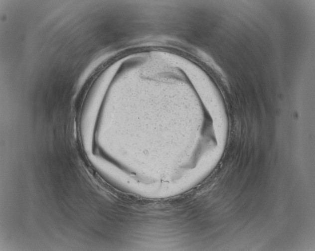 X0000064771368200603131423