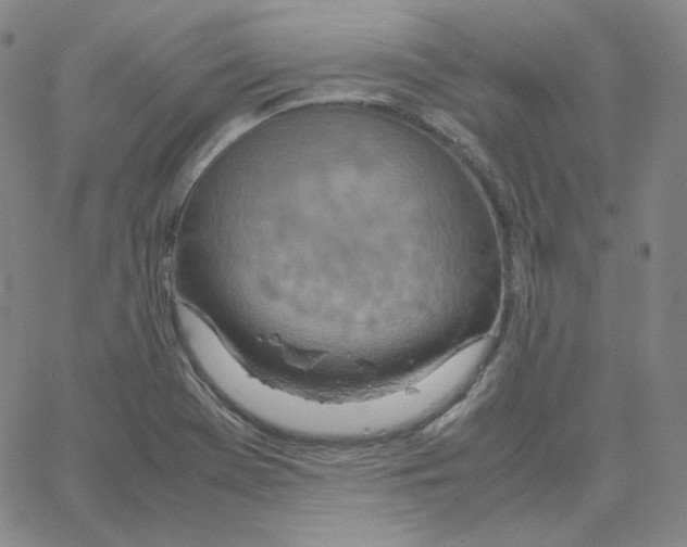 X0000064771369200603131423