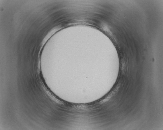 X0000064771370200603131423