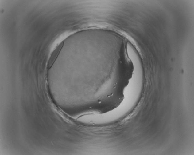 X0000064771373200603131423