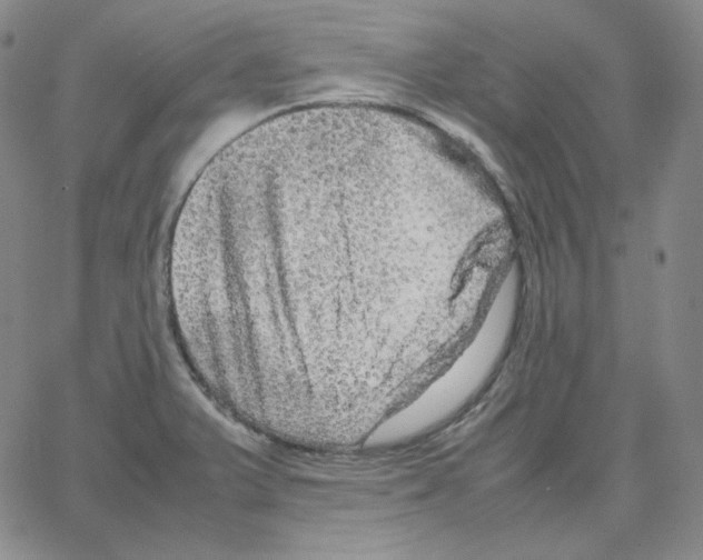 X0000064771375200603131423