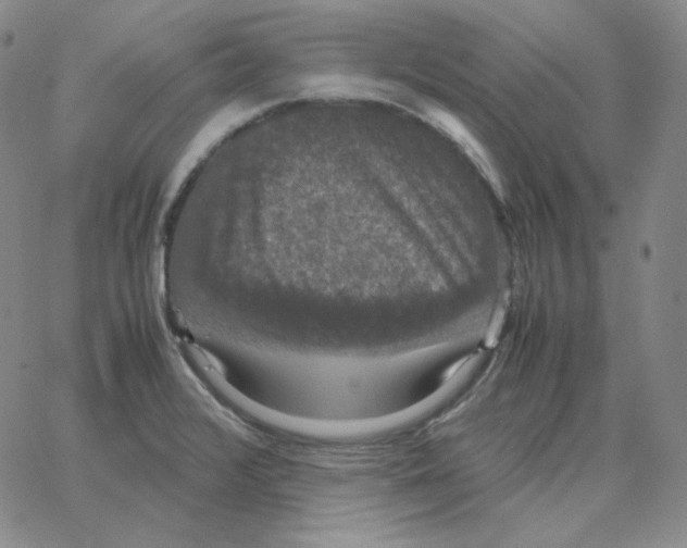 X0000064771376200603131423