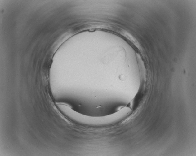 X0000064771377200603131423