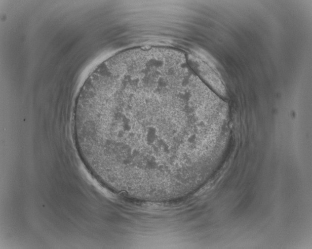 X0000064771379200603131423