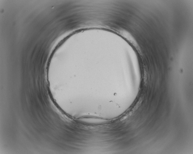 X0000064771380200603131423