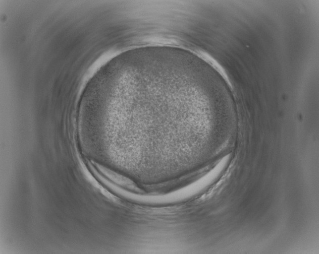 X0000064771381200603131423