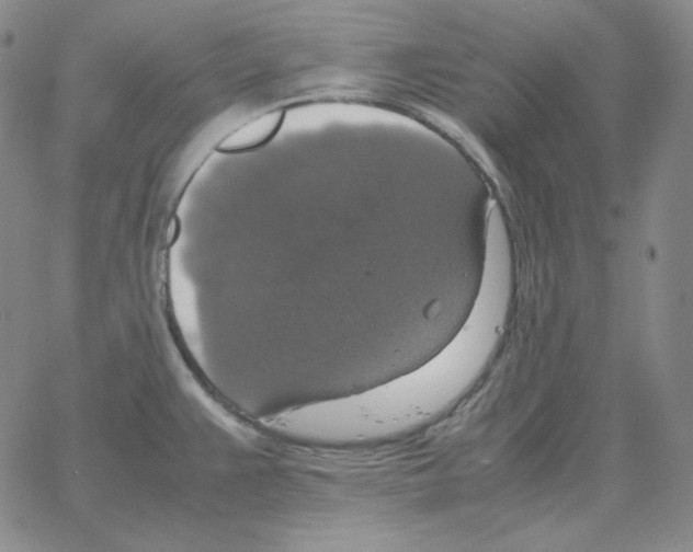 X0000064771383200603131423