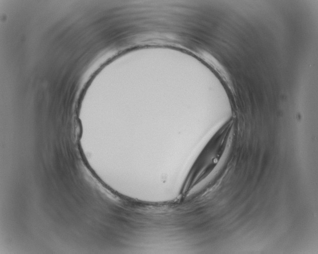 X0000064771384200603131423