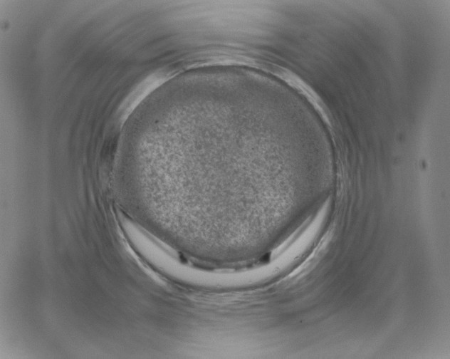 X0000064771385200603131423