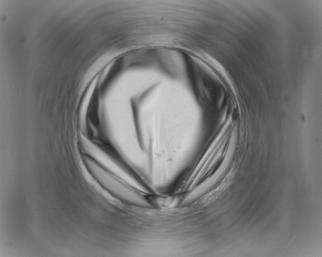 X0000064771389200603131423