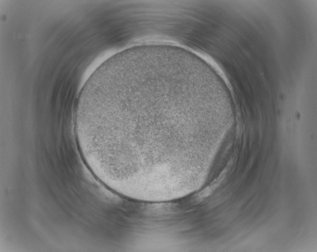 X0000064771390200603131423