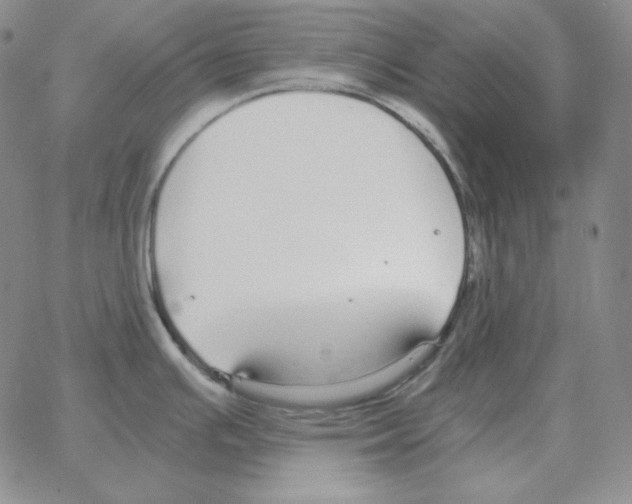 X0000064771391200603131423