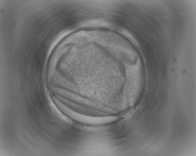 X0000064771392200603131423