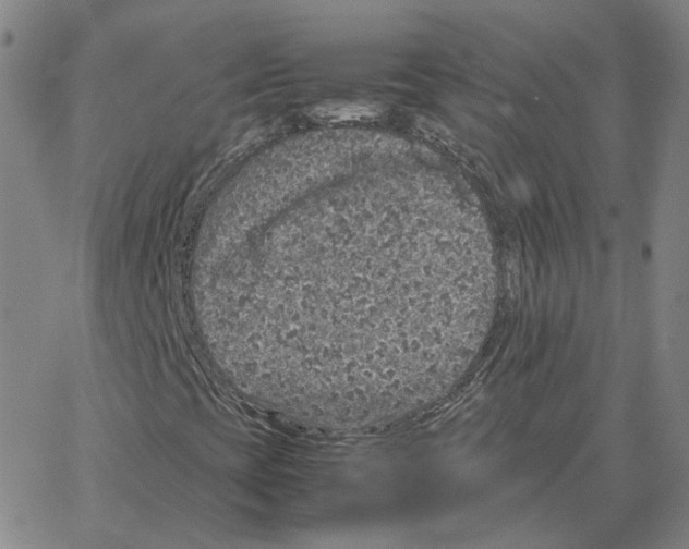 X0000064771393200603131422