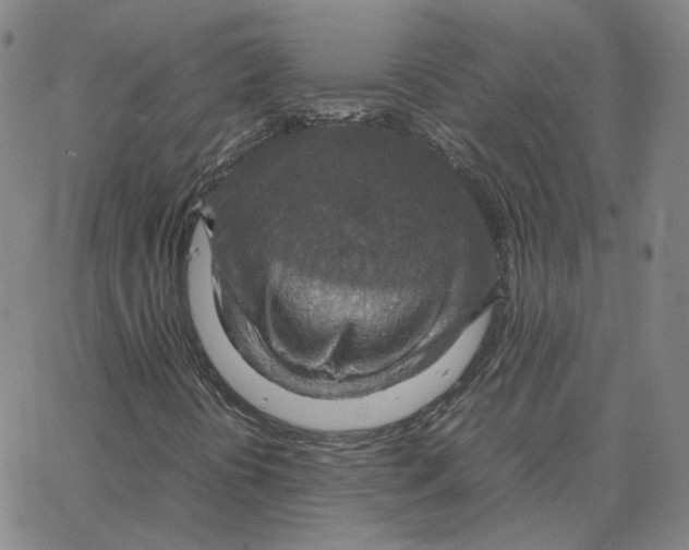 X0000064771394200603131422