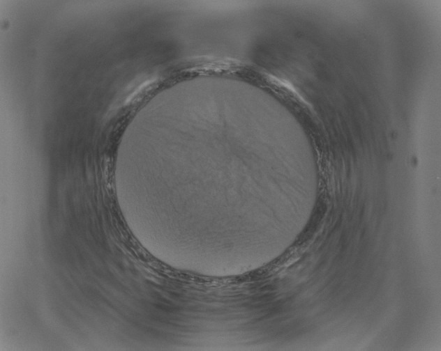 X0000064771399200603131422