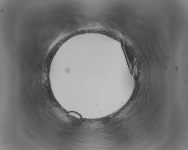 X0000064771400200603131422