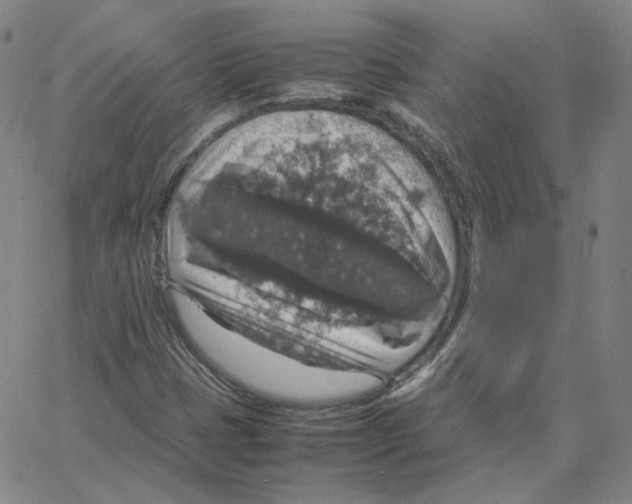 X0000064771401200603131422