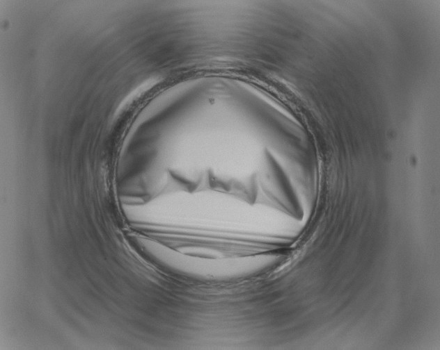 X0000064771402200603131422