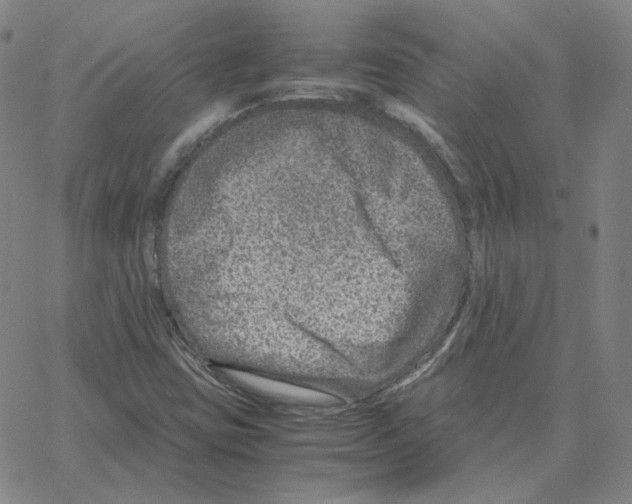 X0000064771403200603131422