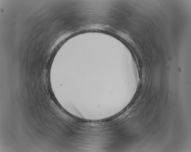 X0000064771404200603131422