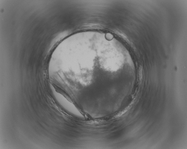 X0000064771405200603131422