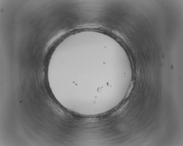 X0000064771406200603131422