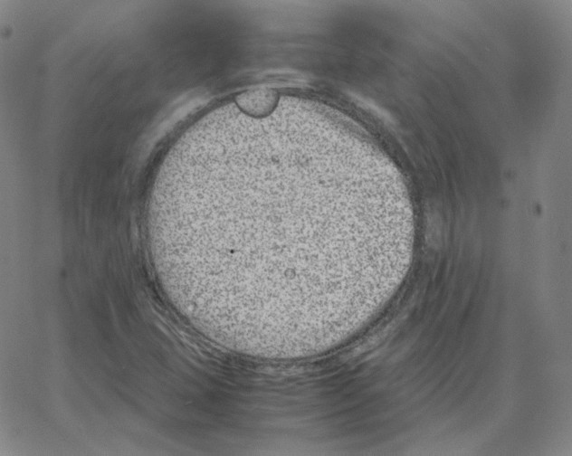 X0000064771407200603131422