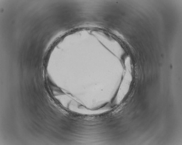 X0000064771408200603131422