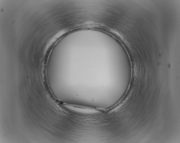 X0000064771410200603131422