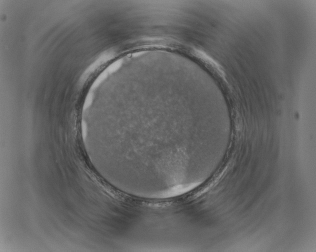 X0000064771411200603131422