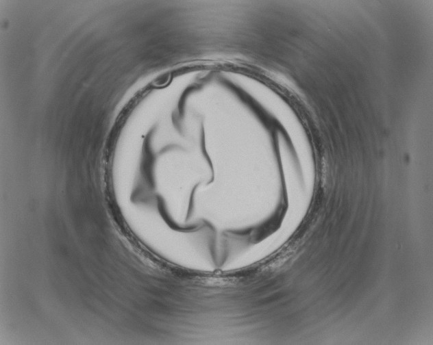 X0000064771412200603131422