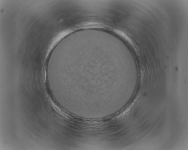 X0000064771413200603131422