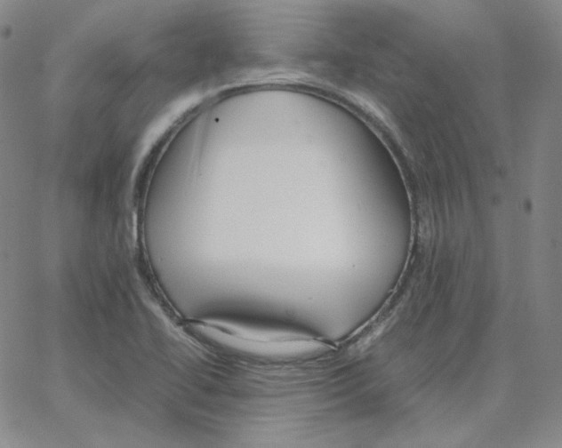 X0000064771414200603131422