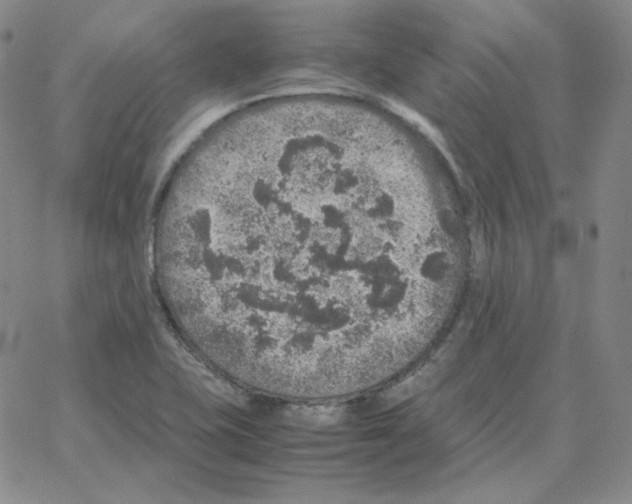 X0000064771415200603131422