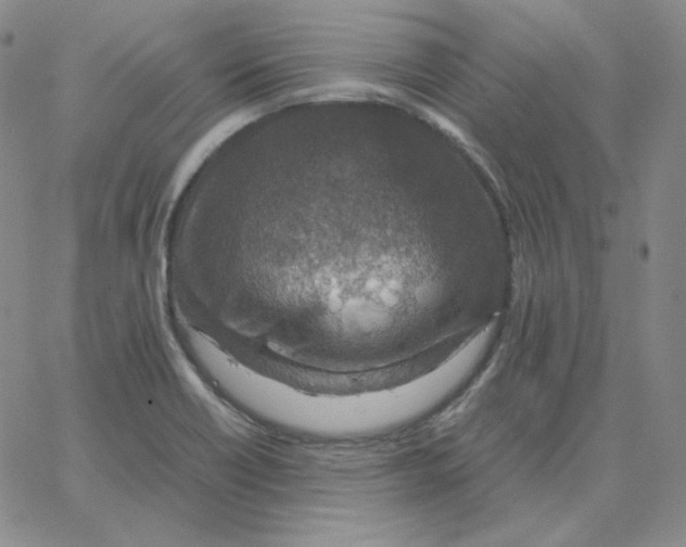 X0000064771418200603131422