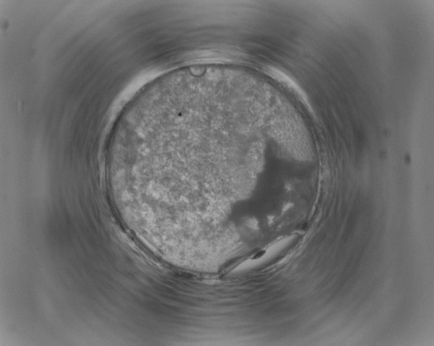 X0000064771419200603131422