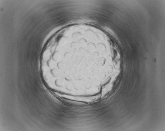 X0000064771420200603131422