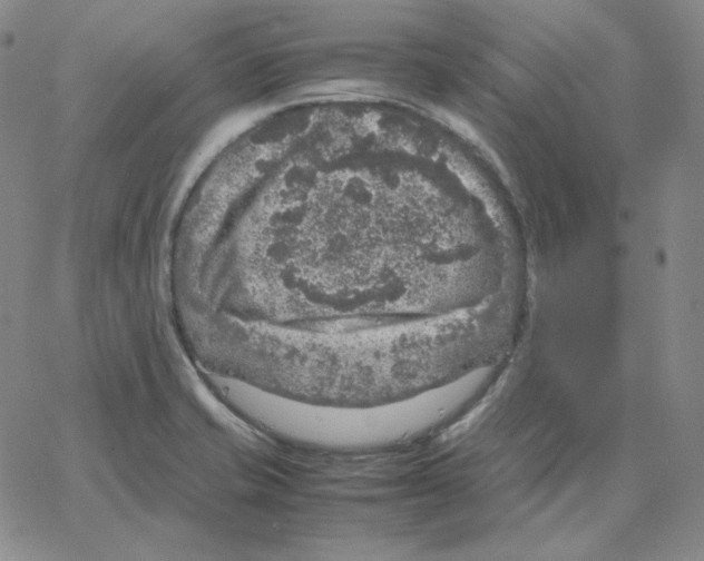 X0000064771421200603131422