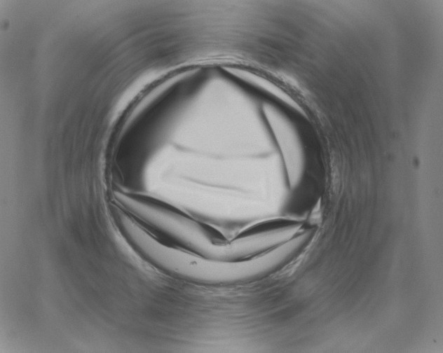 X0000064771422200603131422