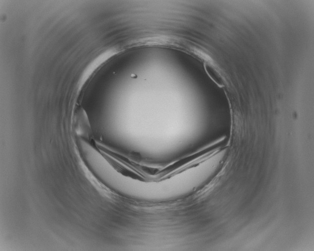 X0000064771426200603131422