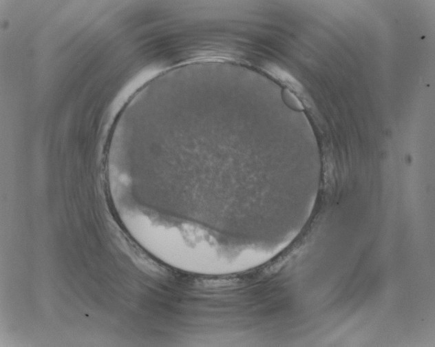 X0000064771427200603131422