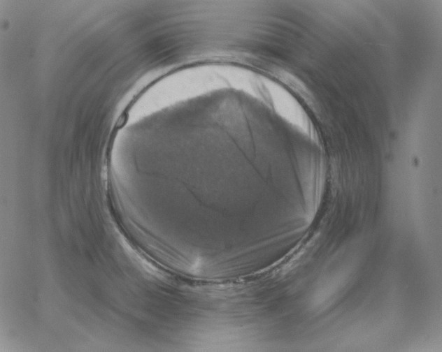 X0000064771428200603131422