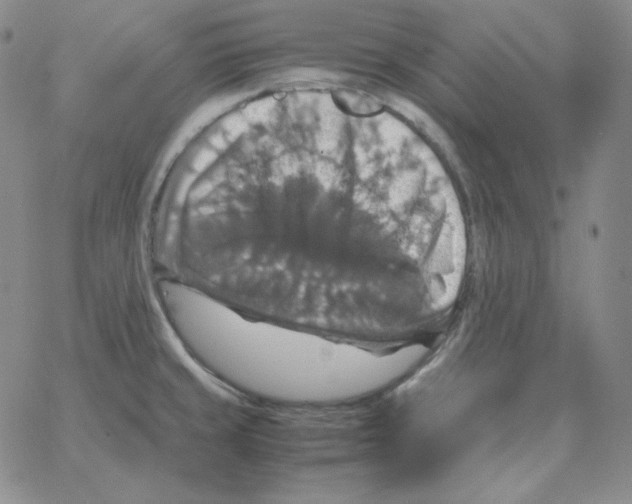 X0000064771429200603131422